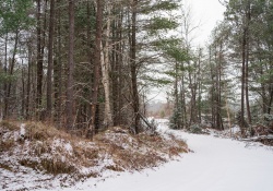 26-Landscape-2