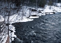 26-Landscape-5