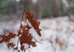 28-Bokeh-2