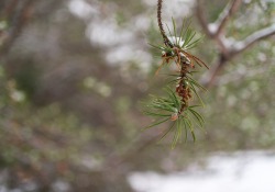 28-Bokeh-3