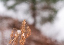 28-Bokeh-5