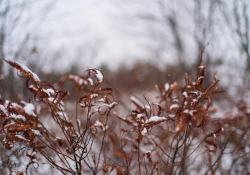 28-Bokeh-6