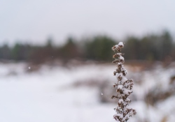 28-Bokeh-7