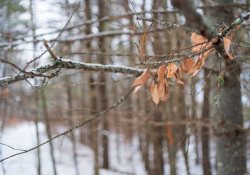 28-Bokeh-8