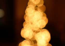 28-Bokeh