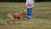 49-Gallery-11