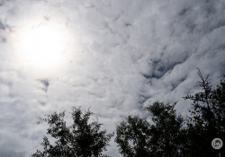 34-Flare-1