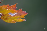 45-Gallery-15