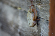 45-Gallery-16