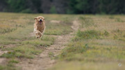 45-Gallery-3