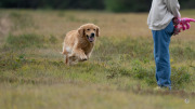 45-Gallery-5