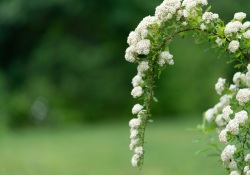 17-Bokeh-4 17-Bokeh-4