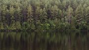 Cottage-country-2