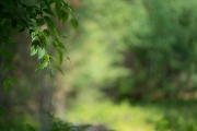 New-Samples-3