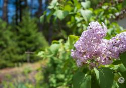 35-Bokeh-1