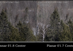 APS-C Comparo Infinity Center APS-C Comparo Infinity Center
