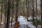 Planar FF Walk-10