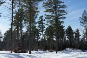 Planar FF Walk-19