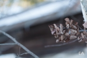 Sunday Afternoon-2