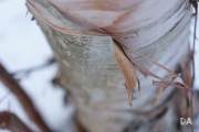 Full Frame Samples-12