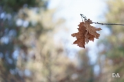 Full Frame Samples-5