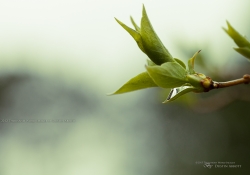 April Showers...