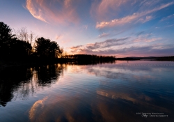 Spring-15.jpg