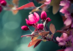 May in Technicolor