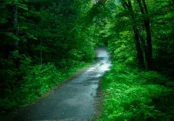I Walked Alone