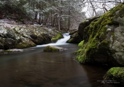 Spring-47.jpg