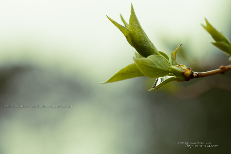 April Showers...