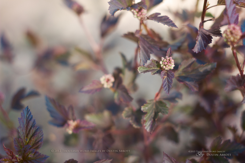 Spring-21