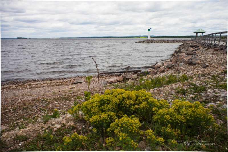 Spring-26
