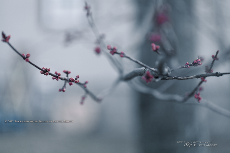 Essence of Spring