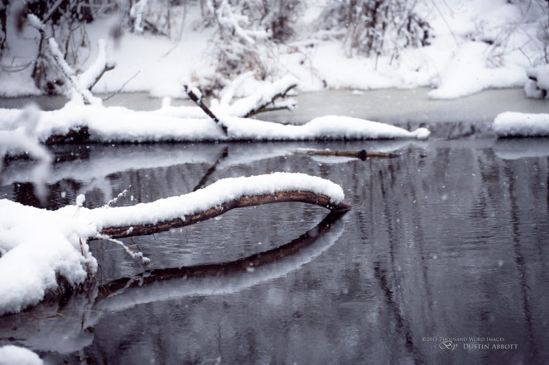 Spring-32
