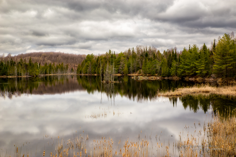 Vilneffs Lake, Ontario
