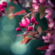 May in Technicolor