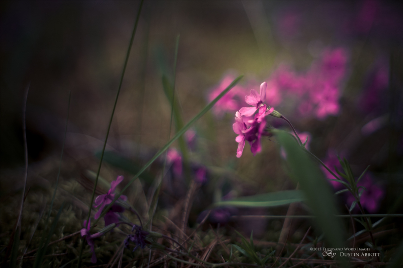 Intimate World