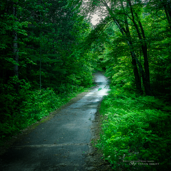 I Walked Alone