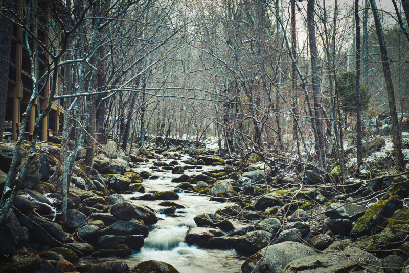 Spring-46