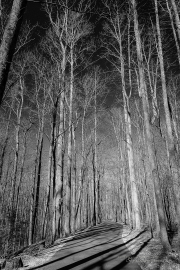 Spring-48