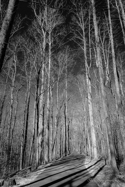 Spring-48