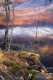 Spring-53
