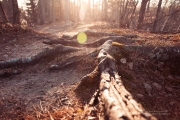 Spring-7