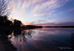 Spring-13