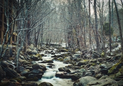 Spring-46