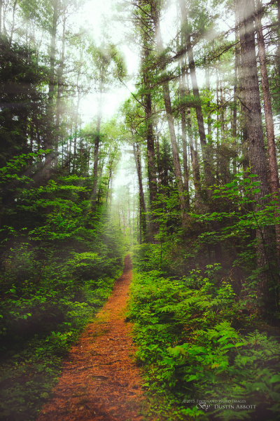 Into the Glorious