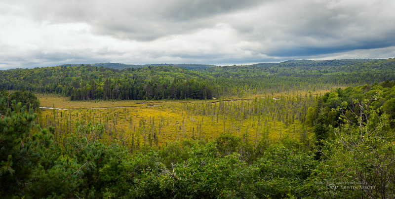 Epic Algonquin