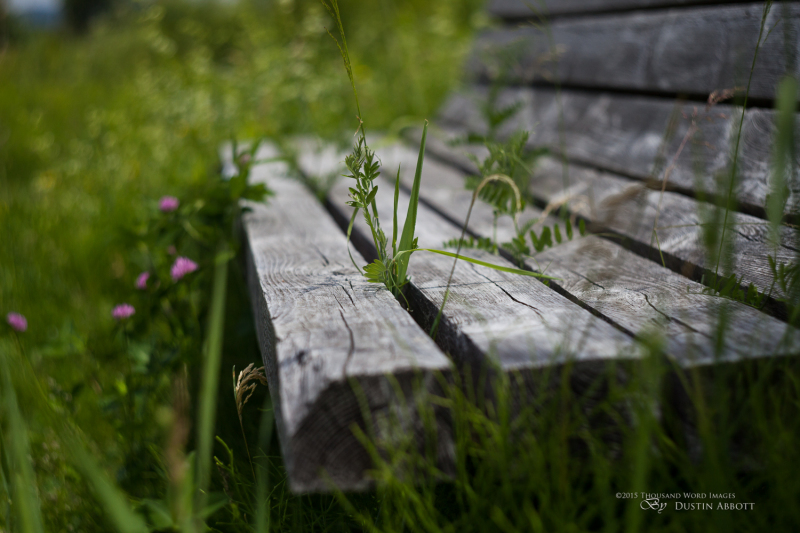 Summer-6
