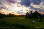 Summer Sunset